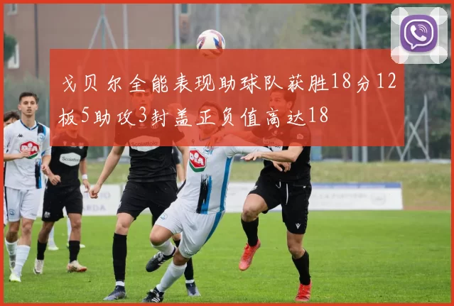 戈贝尔全能表现助球队获胜18分12板5助攻3封盖正负值高达18